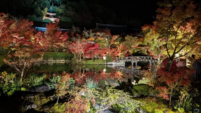 永観堂